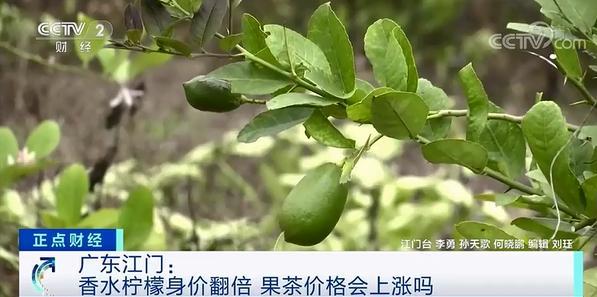 柠檬身价暴涨 网友：我只关心柠檬茶，会不会升价