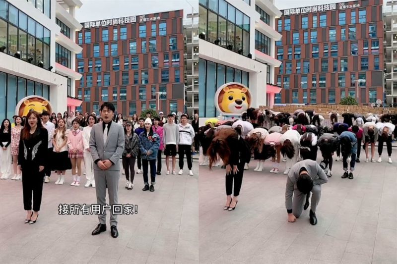 到底怎么想的?辛巴宣布复出 整改这么久还是这种套路?