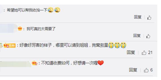 “狗窝”救星！00后整理师一年叠30万件衣服 主要客群是谁？