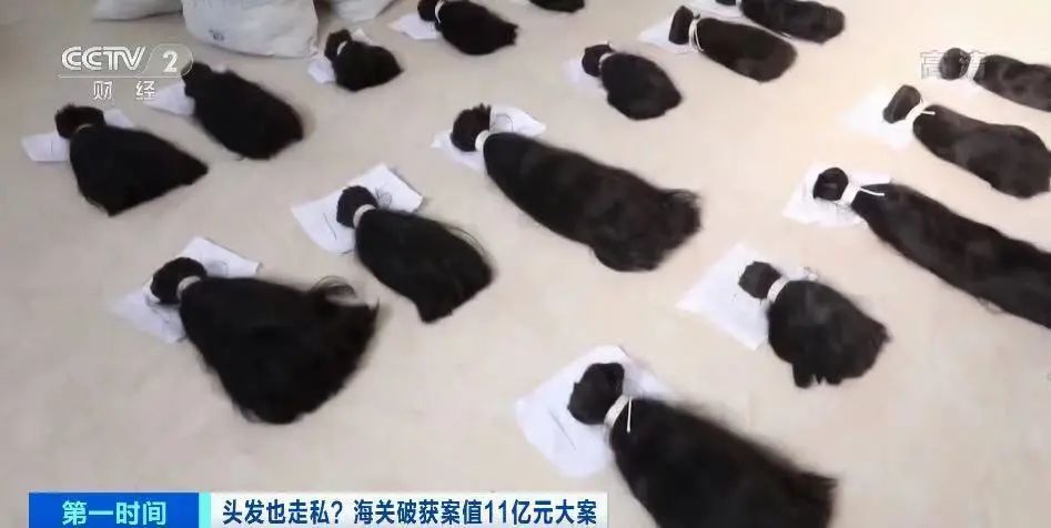 惊天秘密!1200吨头发走私入境 案值11亿元