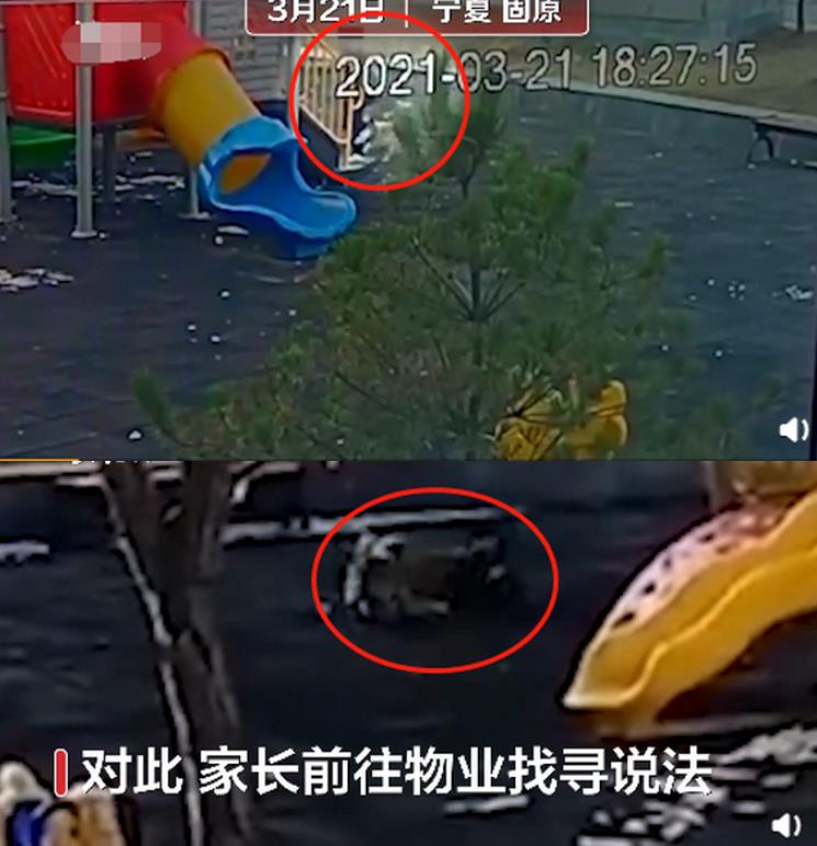 小区内流浪狗连咬2小孩，物业：没办法，找不到主人，引网友讨论
