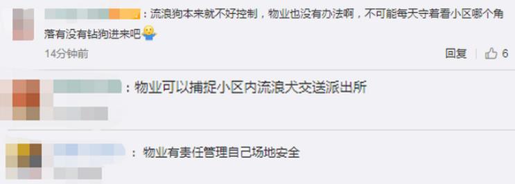 小区内流浪狗连咬2小孩，物业：没办法，找不到主人，引网友讨论