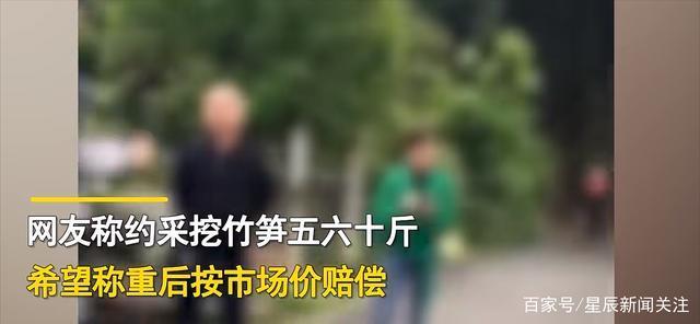 真滴夺笋啊!游客挖竹笋遭村民索赔1根1万 游客涉盗窃村民非敲诈