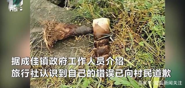 行为涉嫌盗窃！游客挖竹笋遭村民索赔1根1万，村民：挖走五六十斤