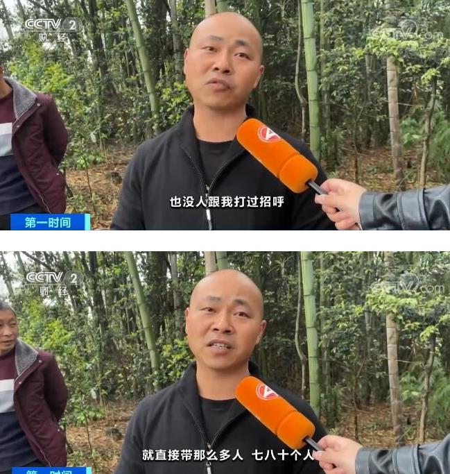 “天价竹笋“当事村民接受采访 镇政府回应：损失了1000多斤