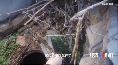 花了钱没法用 补贴不见踪影!央视曝农村改造厕所轻轻一踩就碎了