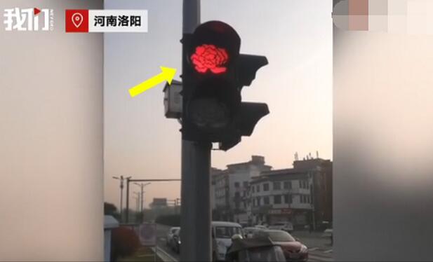 甘肃一景区设骆驼红绿灯 骆驼灯绿骆驼走，行人灯绿行人走