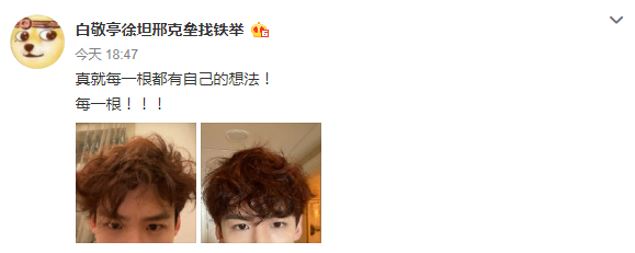 每一根都有自己的想法！白敬亭晒自来卷头发乱糟糟