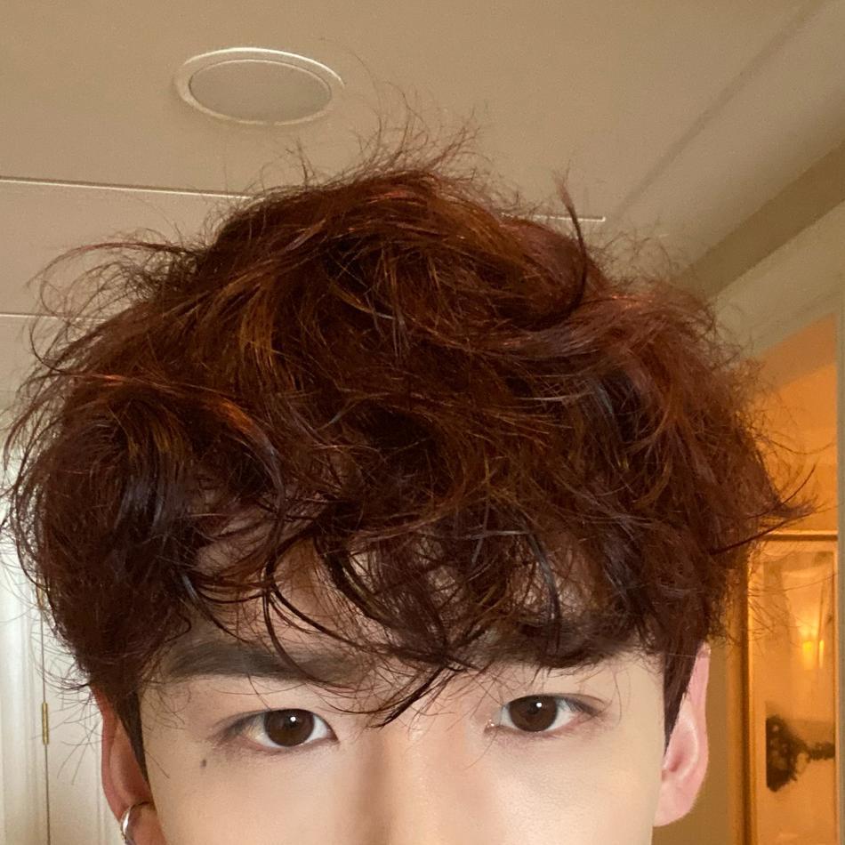 每一根都有自己的想法！白敬亭晒自来卷头发乱糟糟