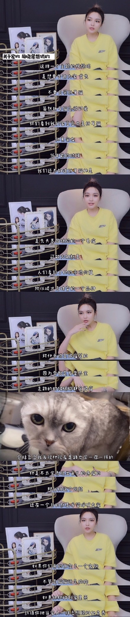 人美心善！周扬青呼吁不养折耳猫，具体说了什么？