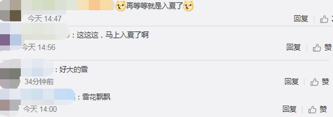 呼伦贝尔4月大雪纷飞！现场图让网友迷茫了：再过两个月都入夏了