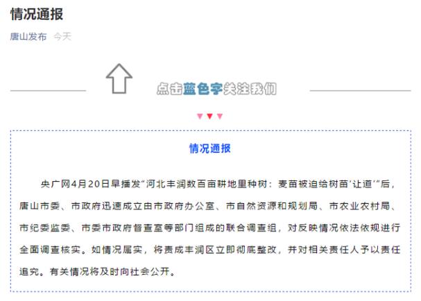 官方通报河北丰润数百亩耕地里种树，具体是啥情况？