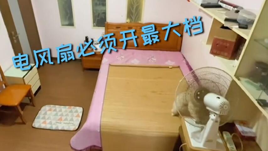 狗生舒服！主人出门狗狗熟练操作享受生活，神操作被监控全程拍下