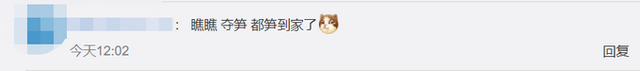 真的是“笋到家”了!宿舍水泥地裂缝竟长出4米高竹笋