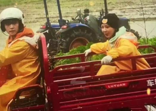 杜华点赞杨紫张艺兴视频 点赞为什么会引起轰动？发生了什么？