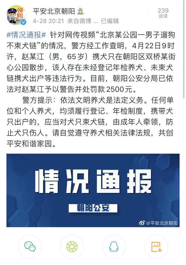 5月新规来了！男子遛狗不拴绳被罚款2500元