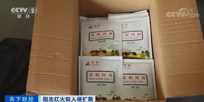 红火蚁入侵，已席卷12省份！有农作物产量或损失40%