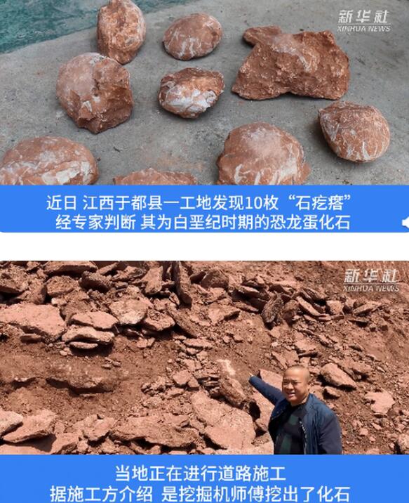 江西工地挖出6600万年前恐龙蛋化石，恐龙蛋化石长啥样？【图】