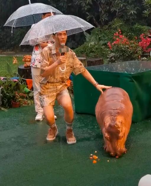 “雨神”本神！萧敬腾在广州参加活动下大雨引热议