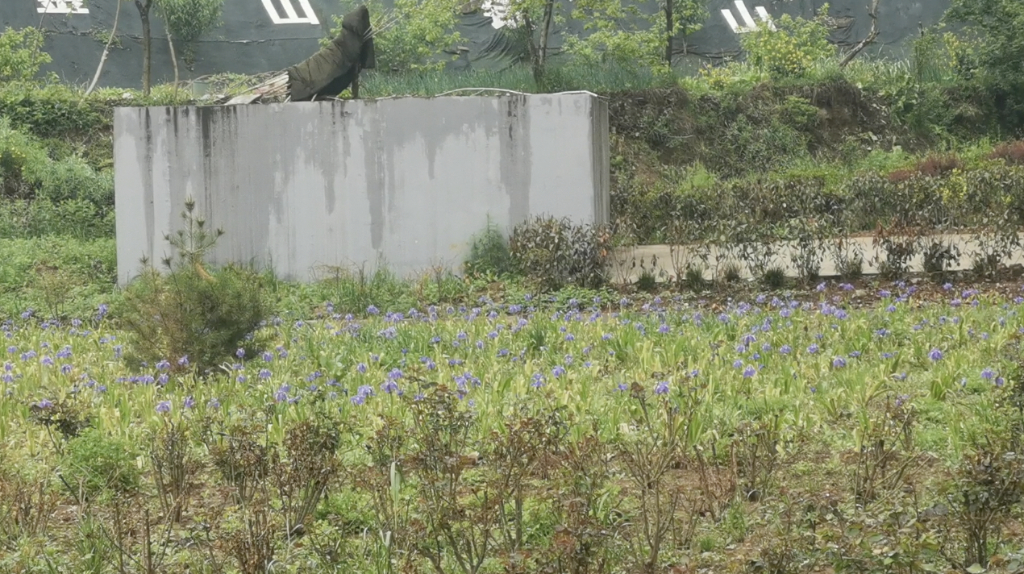 “优秀示范村”的尴尬:优秀示范村农民自建厕所不敢用