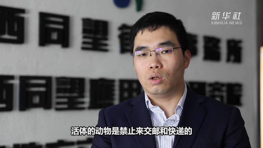“宠物盲盒”为何成为“带血的生意”？