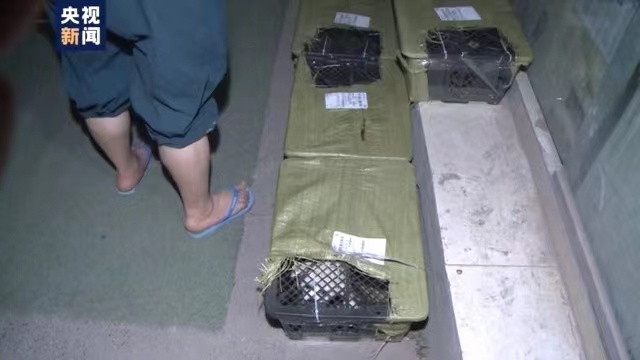 四川邮管局通报快递“宠物盲盒”调查情况:涉事企业被立案调查