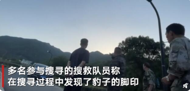 【杭州外逃的第三只金钱豹仍未寻获】村民：常有孔雀猴子出逃，抓到了就给放回去