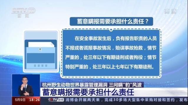 灵魂三问“豹子风波” 杭州野生动物世界不该又丢又瞒
