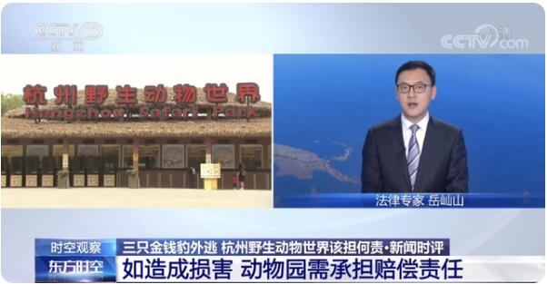 专家判断第3只豹子或已死亡，究竟发生了什么？