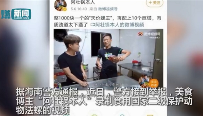 【咋还不长记性】警方通报博主食用二级保护动物法螺：刑拘！