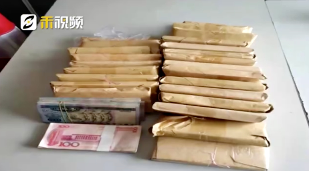 全网点赞!姐弟遛狗捡到51万元交给警察