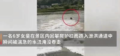女童落水命悬一线!男子施救后竟发现是自己的女儿