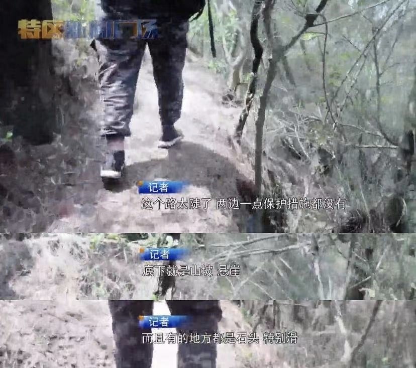 69元走山路进校,“厦大校园游”是个啥?