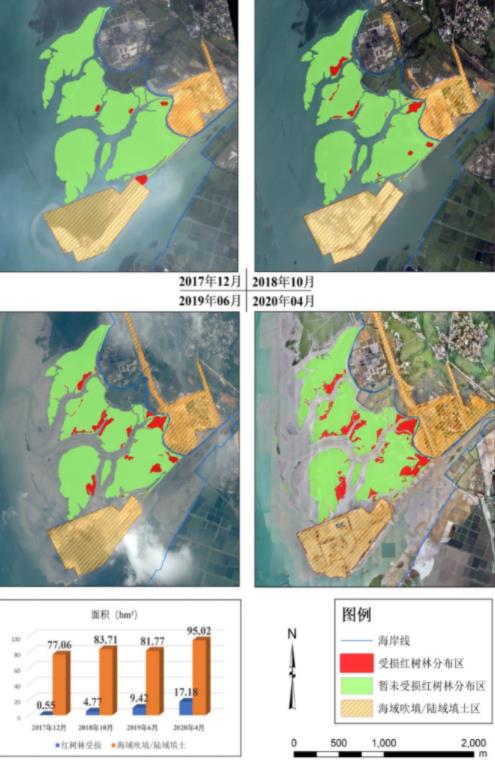 6道禁令挡不住违规施工？广西北海红树林大片消失