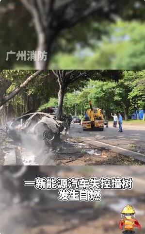 广州一特斯拉撞树后自燃，现场发生什么？