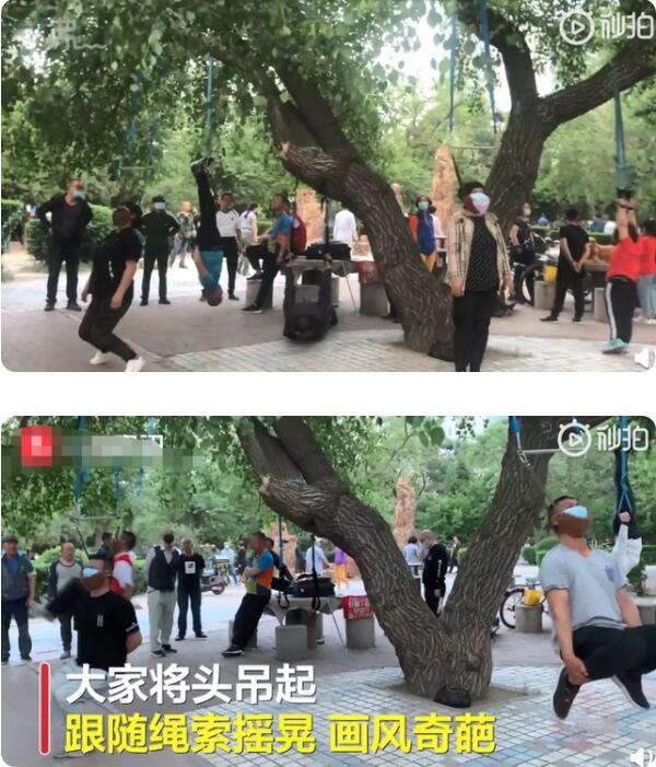 惊呆！沈阳大爷大妈把头挂树上锻炼 跟随绳索摆动