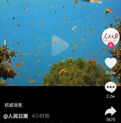 仙境！云南现1.5亿只蝴蝶大爆发 5月25日至28日迎来高峰