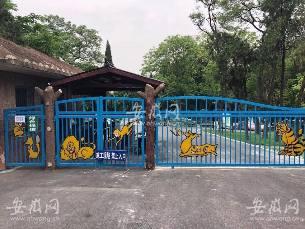 安徽蚌埠一动物园饲养员遭老虎袭击 不幸身亡