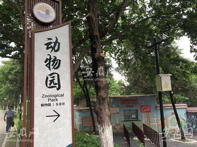 悲剧!安徽蚌埠市一饲养员被老虎袭击,不幸身亡