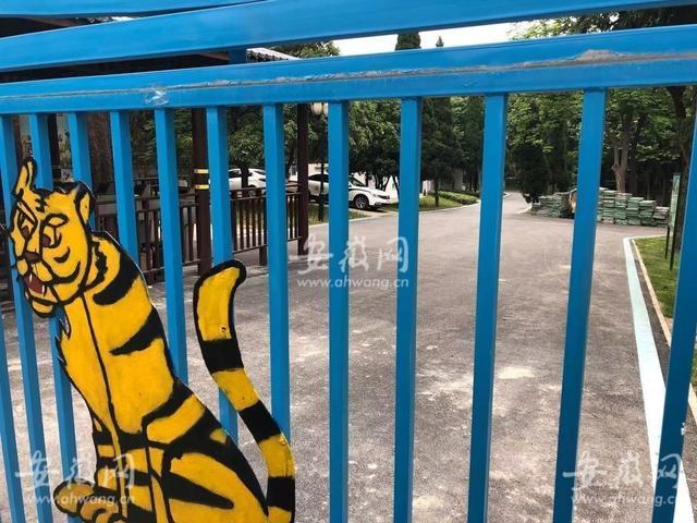 悲剧!安徽蚌埠市一饲养员被老虎袭击,不幸身亡
