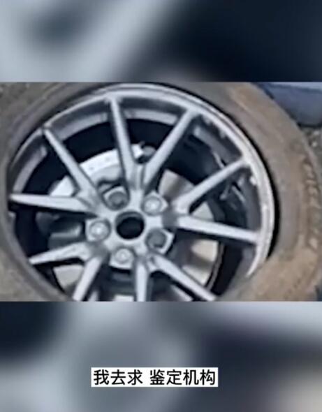 温州特斯拉车主回应把油门当刹车：为了理赔邻居，被逼无奈！