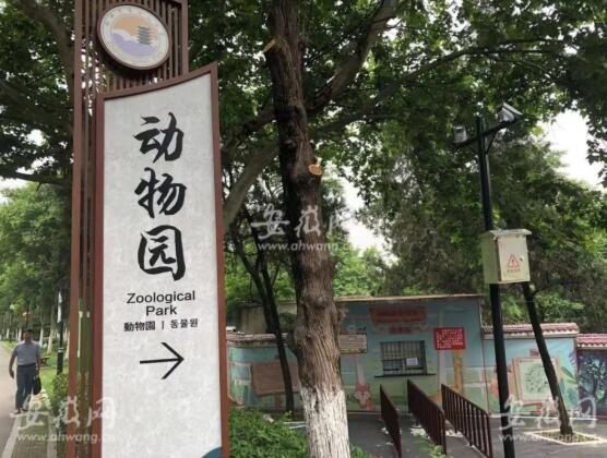 老虎袭人致死，3天2起！发生了啥？