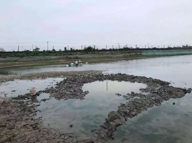 浙江嘉兴上空掉下不明物体 水花溅了有三四米远