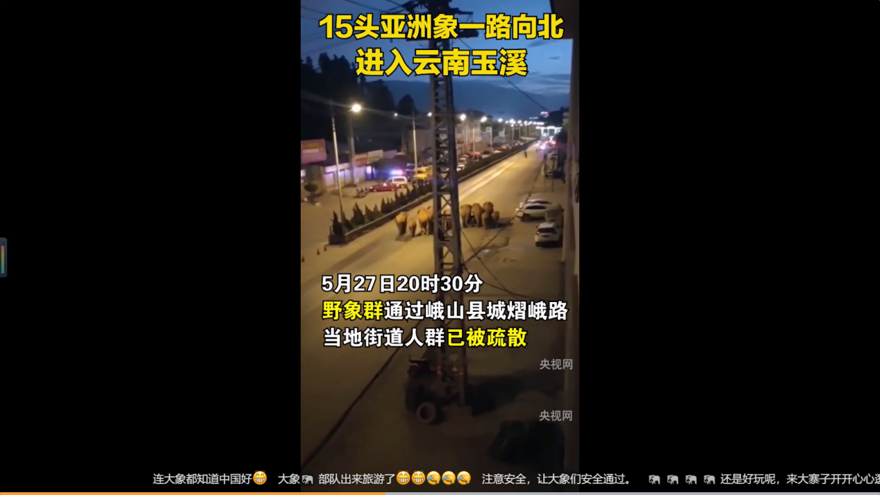 大象想去哪?15头亚洲象一路向北 网友喊话“再往上就到昆明了!”