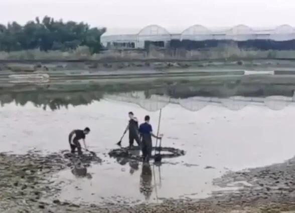 浙江嘉兴上空掉下不明物体 水花溅了有三四米远