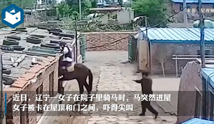【尴尬了】女子在院子里骑马，结果马自己进屋女子被挂房梁上