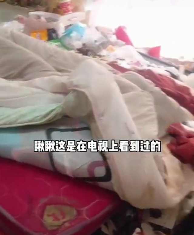 黑龙江女租客屋内垃圾成山 房东气炸称老鼠进屋都要开导航