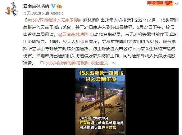 云南直升机渣土车追踪堵截象群 去村民家“敲门”吓得狗子汪汪叫