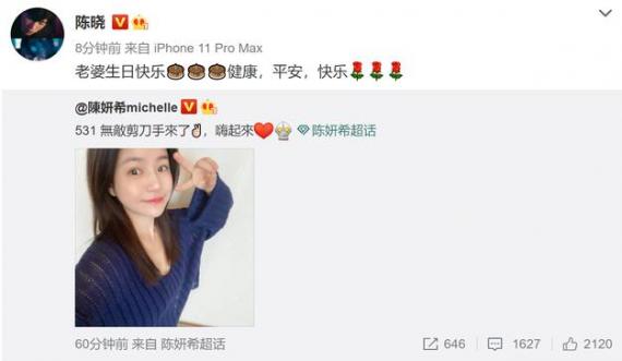 又撒狗粮！陈妍希生日晒自拍美照 陈晓转发：老婆生日快乐