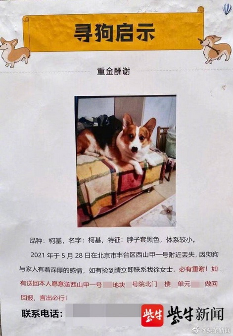 女子发文寻狗送北京一套房？小区售楼处回应，这句话亮了！